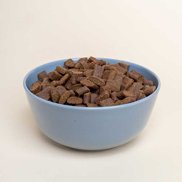 Dog Food